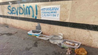 Eskişehirde ‘Hayvanların mamalarını çalmayın! uyarısı