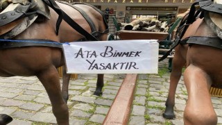 Eskişehirdeki Ata binmek yasaktır uyarısı dikkat çekiyor