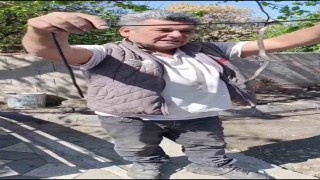 Eve giren yavru yılanı vatandaşlar yakaladı
