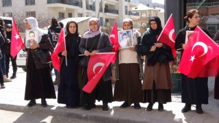 Evlat nöbetindeki aileler: Terörsüz Türkiye istiyoruz