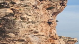 Falezlerden atlamak için ölümü göze aldı