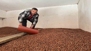 Fındık fiyatları rekor seviyeye ulaştı