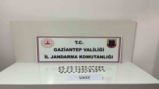 Gaziantepte 62 adet sikke ele geçirildi: 1 gözaltı
