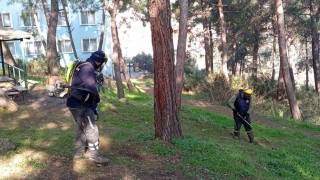 Gemlikte Yeşil Seferberlik
