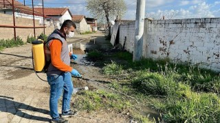 Germencikte ilaçlama çalışmaları sürüyor