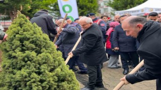 Giresunda fidanlar toprakla buluştu