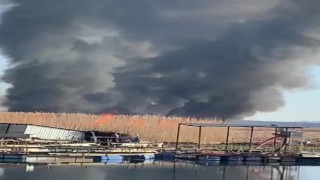 Gökgöldeki sazlıklar ateşe verildi