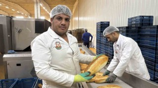 Günde 60 bin ekmek vatandaşlara ulaştırılıyor