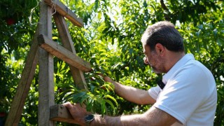 Gürsuda ilçe tarımını dönüştürecek yeni proje