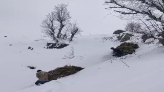 Hakkaride besicilerin zorlu kış mesaisi