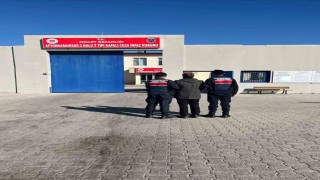 Hapis cezası ile aranan şahsı jandarma yakaladı