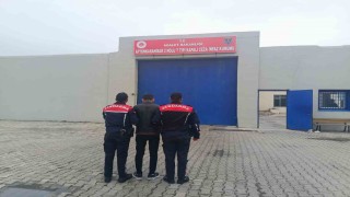 Hapis cezasıyla aranan şahsı jandarma yakaladı