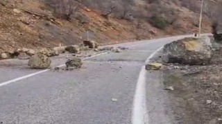 Havaların ısınmasıyla düşen kayalar tehlike saçıyor