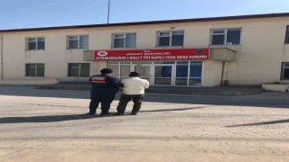 Hırsızlık suçundan hapis cezasıyla aranan şahsı jandarma yakaladı