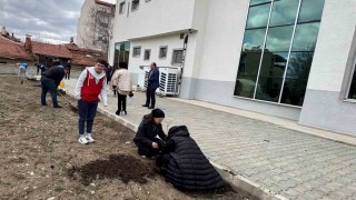 Hisarcıkta öğrenciler fidan dikti