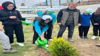 Hisarcıkta Orman Haftası etkinlikleri