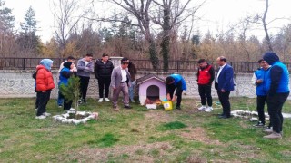 Hisarcıkta sokak hayvanları için mama bırakıldı