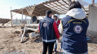 Iğdırda çalışma izni olmayan yabancı uyruklu düzensiz göçmen çalıştıran iş yerlerine operasyon