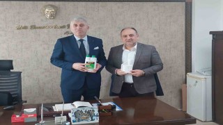 İlkadım Belediyesinden kahverengi kokarca mücadelesine ilaç desteği