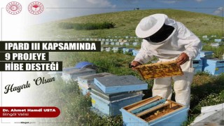 IPARD projelerinde kadın eli