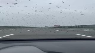 İstanbul - İzmir otobanında sürücüleri şaşırtan görüntü