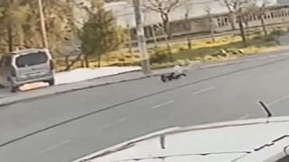 İzmirde yine sokak köpeği, yine çocuğa saldırı