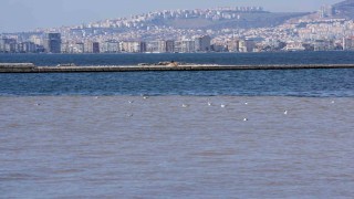 İZSUya 3 milyon 343 bin lira ceza kesildi