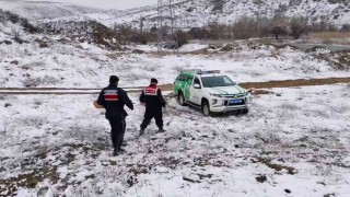 Jandarma ekipleri doğadaki canlıları unutmadı