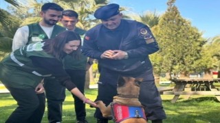 Jandarma, üniversite öğrencilerini misafir etti