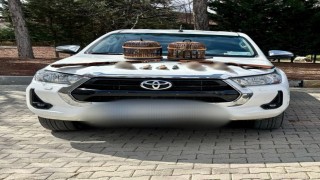 Kaçak avcıları jandarma yakaladı