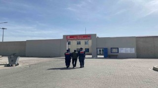 Kaçakçılık suçundan aranan şahsı jandarma yakaladı
