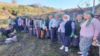 Kadınlar gününü üzüm bağında kutladılar