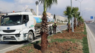 Kahramanmaraş’ta Çevre Düzenleme ve Yeşillendirme Çalışmaları Devam Ediyor