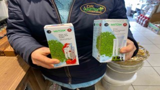 Kahve alternatifi olan matcha çayına talep artıyor
