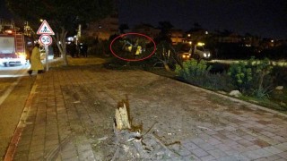 Kaldırıma çarpıp bahçeye uçan otomobilin sürücüsü polisten acı haber