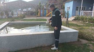 Karacasuda sivrisinekle mücadele başladı