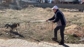 Karamanda köpeğin saldırısından oğlunu kurtarmak isteyen baba yaralandı