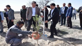 Karapınarda Orman Haftası etkinliği