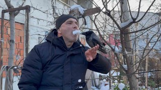Karganın kar banyosu keyfi: Bir tek şampuanı eksik