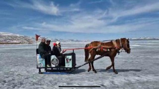 Kars Çıldır Gölünde atlı kızak seferleri devam ediyor
