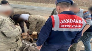 Karsta jandarma kaçak avcılara göz açtırmıyor