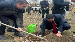 Kastamonuda şehit ve gaziler için fidan dikildi