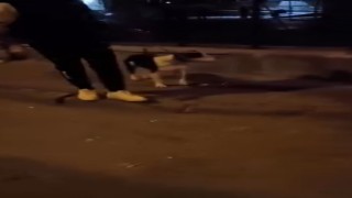 Kediye tekme atan 24 yaşındaki vicdansız tutuklanarak cezaevine gönderildi