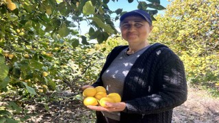 Kimilerine garip gelse de Meral çavuş, 30 yıldır tarlaların yolunu tutarak ekmek parasını kazanıyor