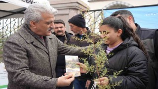 Kırıkkalede vatandaşlara ücretsiz fidan dağıtıldı