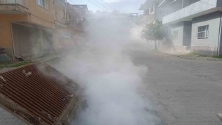 Koçarlı Belediyesinden haşere ve yabani otlara erken müdahale