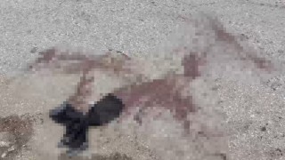 Komşu iki esnaf sopalar ile birbirine girdi: 7 yaralı
