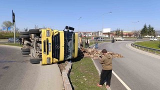 Kontrolden çıkan kamyon devrildi, sürücüsü yaralandı