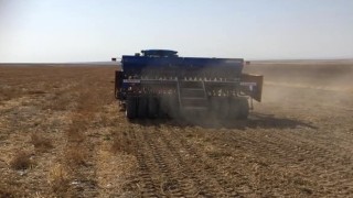 Kuluda baklagiller ekimi başladı