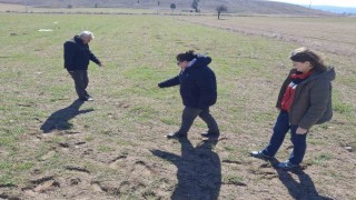 Kütahyada tarla faresi ile mücadelede arazi kontrolleri